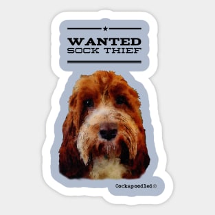 Cockapoo / Doodle Dog Sock Thief Sticker